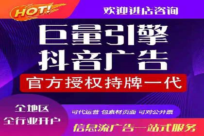 深入剖析SEM公司成功案例：数据驱动的广告策略