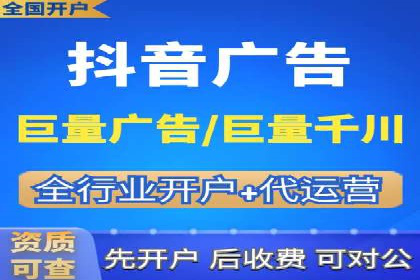 百度品牌专区推广的成效与案例